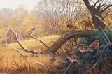 Lee Leblanc, Northern Bobwhite Quail, c. late 1960s, oil on canvas