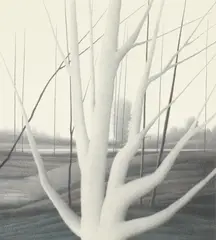 Robert Kipniss, The White Star, lithograph, pencil