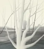 Robert Kipniss, The White Star, lithograph, pencil