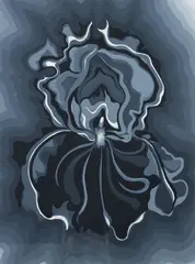 Blossom in Black by Lowell Nesbitt, 1980, screenprint on paper, offered Sep 2025
