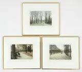 Harold Altman, November, I, II, IV, 1981, lithographs printed in colors, 8 x 11.75 inches