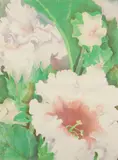 Gary Bukovnik, Gloxinia