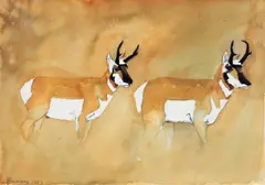 David Bungay, Two Antelope, 1983, water color on paper, pencil