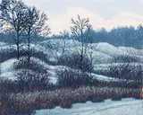 Gordon Mortensen, March, 1983, color reduction