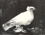 after Pablo Picasso, La Colombe (The Dove), reproduction printed 1960, original image 1949, offset, lithograph printed on Arches paper
