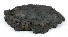 Not Vital, Cow Shit, undated, c.1990, dried cow dung cast in, bronze
