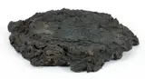 Not Vital, Cow Shit, undated, c.1990, dried cow dung cast in