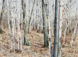 Charles Pitcher, (American/Western PA, 1927-2009), Spring Day in January, 1989, watercolor on paper