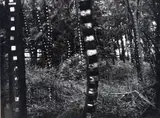 Martin Prekop, House 1993-