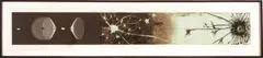 Judy Pfaff, ' W 76', Etching In Colors On Crown Kozo Paper, Ca. 1996, Eavesdrop