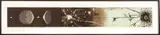 Judy Pfaff, ' W 76', Etching In Colors On Crown Kozo Paper, Ca. 1996, Eavesdrop