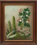 Frederick Papsdorf, ' W 16', Oil On Canvas, 1961, Catus And Flowers