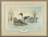 Jim Foote, Untitled, 1979, Lithograph On Paper