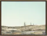 W. Louis Jones, ' W 24', Acrylic On Board Landscape With Dead Maples