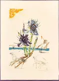 ' W 21.75' by Salvador Dalí, Lithograph In Colors On Arches Wove Paper, C. 1972, Iris (Les Chevaux), From Florals, offered Feb 2023