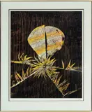 Sidney Nolan, ' W 23', Screenprint In Colors On Wove Paper, C. 1972, Untitled, From Floral Images
