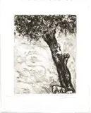 Marc Chagall, aigle La Laie Et La Chatte, H 11.7', Etching On Montval Laid Paper, C. 1927-31, L
