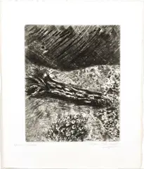 ' W 9.4' by Marc Chagall, Etching On Montval Laid Paper, C. 1927-31, Le Chene Et Le Roseau, offered Oct 2022
