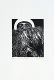 Jack Coughlin, Untitled, LITHOGRAPH ON RIVES WOVE PAPER, WITH WATERMARK