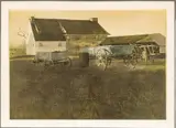 Andrew Wyeth, Untitled, LITHOGRAPH ON PAPER