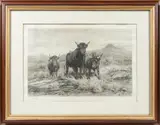 Rosa Bonheur, Untitled