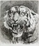 Herbert Dicksee, RESTRIKE, ETCHING ON PAPER