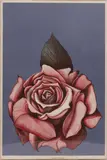 Lowell Blair Nesbitt, Untitled, 1973, LITHOGRAPH & SILKSCREEN ON PAPER