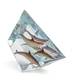 Robert Wyland, LUCITE