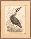 Robert Mitford, Untitled, ENGRAVING ON WOVE PAPER