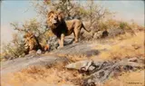 Frsa David Shepherd Obe, Untitled, 1990, OIL ON CANVAS