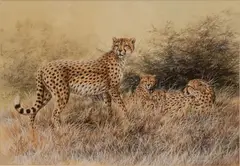 Untitled by David Parry, WATERCOLOR & GOUACHE ON PAPER, offered Jan 2021
