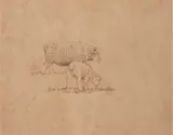 Henry Moore, Untitled, 1974, LITHOGRAPH ON PAPER, 7/30