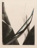 Toko Shinoda, Untitled