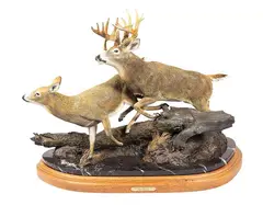 Deer by Lyle Schwabauer, bronze, offered Mar 2024