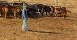Ranch Raised by Don Gray, gouache, offered Mar 2024