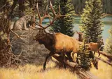 Tom Beecham, The Parade, oil on board