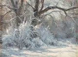 Clyde Aspevig, Winter Cottonwood, oil on canvas