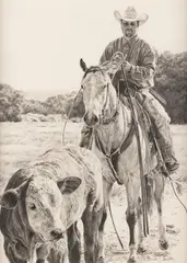 Brenda Murphy, Young Straggler, graphite