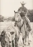 Brenda Murphy, Young Straggler, graphite