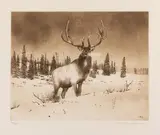 Michael Coleman, Elk, etching Original pencil signature lower right, #52/95 $1,000-1,500