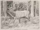 Ken Carlson, Elk Mountain Challenge