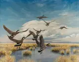 Canadian Geese by Liz Lemon Swindle, oil on canvas, offered Mar 2024
