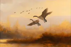 Tom Sander, Geese, acrylic on board