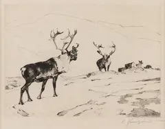 The Stranger Image is by Carl Rungius, etching, offered Mar 2023