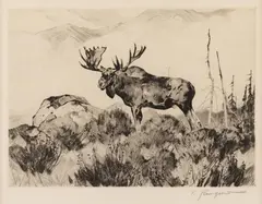 The Wanderer Image is by Carl Rungius, etching, offered Mar 2023