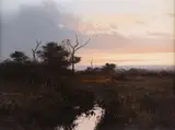 Michael Coleman, Evening Glow, oil on board