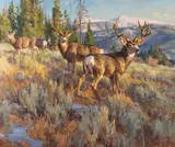 Chad Poppleton, November Shadows