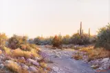 Francois Koch, Tucson Wash, oil on canvas