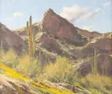 Matt Smith, Picacho Foothills