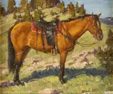 Charles Fritz, Trail Horse on Sundance Pass
